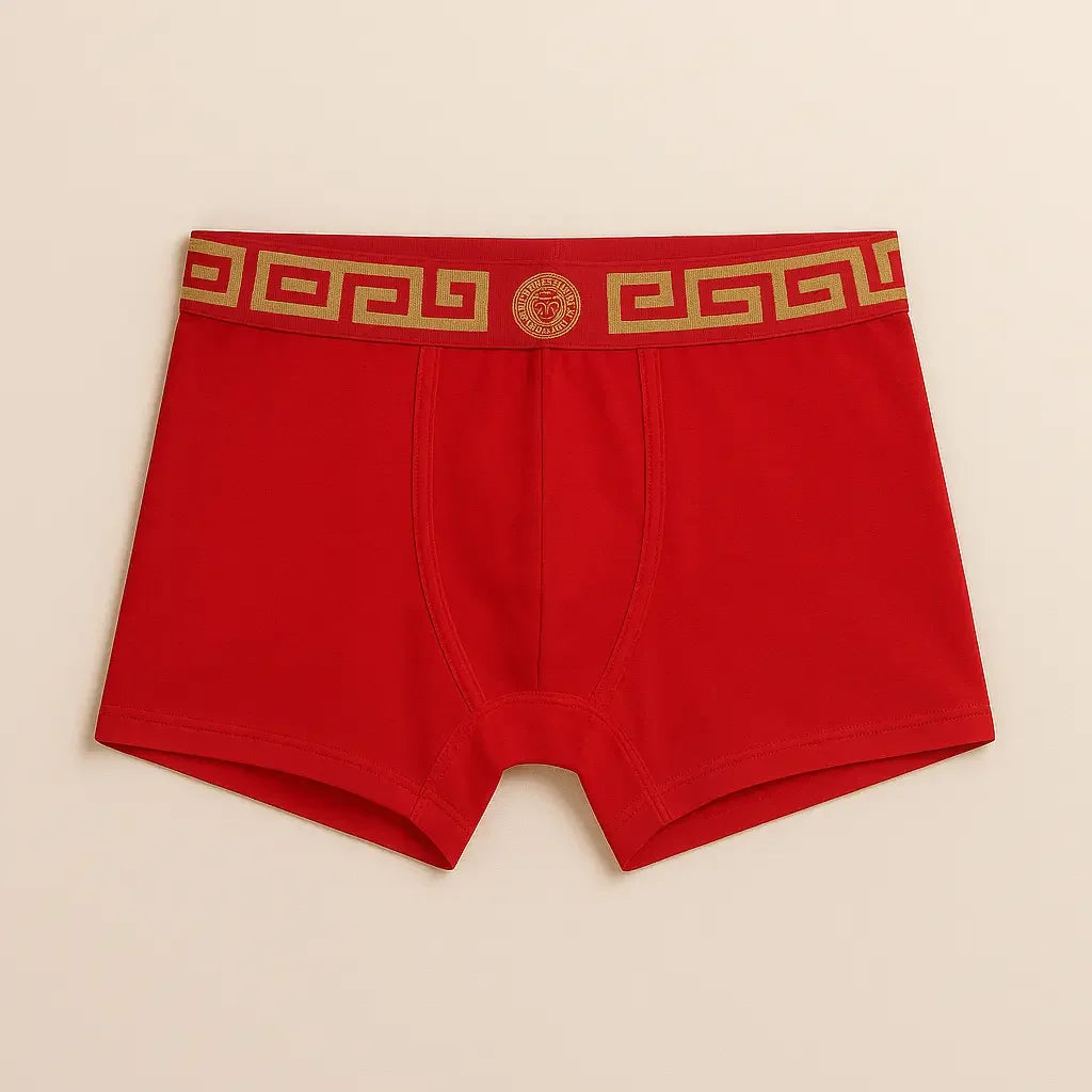 Boxer Versace - pack de 5 Boxer Shop