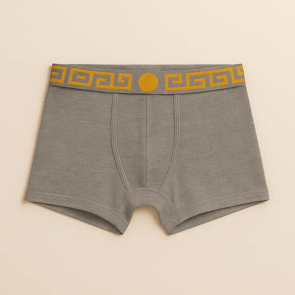 Boxer Versace - pack de 5 Boxer Shop